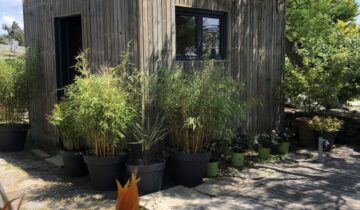 Studio de jardin 11,5m²