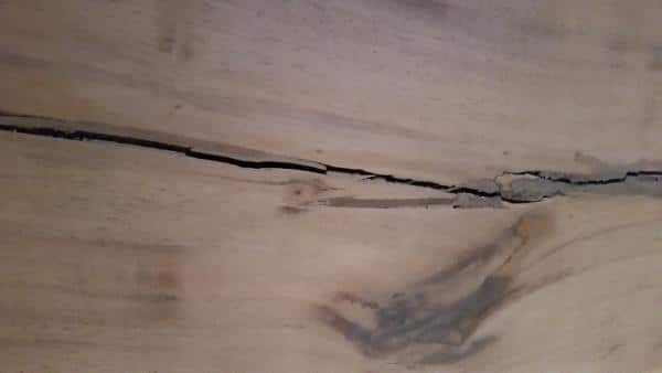 Gros plan sur une fente naturelle dans une lame de bois clair montrant le veinage