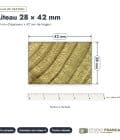 Liteau en pin sylvestre traité autoclave vert classe 4 – Section 28x42 mm, plan de section, Studio Français