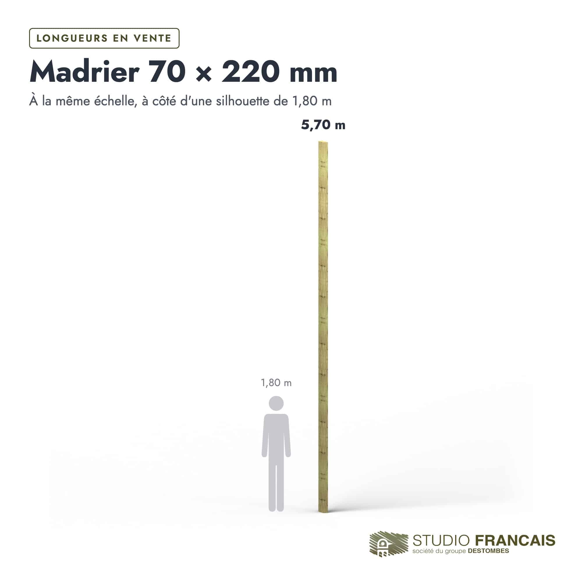 Madrier en pin sylvestre traité autoclave vert classe 4 – Section 70x220 mm, longueurs, Studio Français