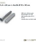 Vis et cheville 6x60, 200 vis zinguées T30 et 200 chevilles nylon : boite ou ensemble